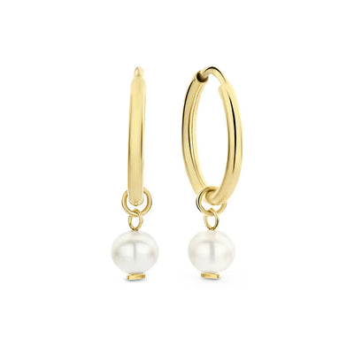 Delia Crest Gold Earrings